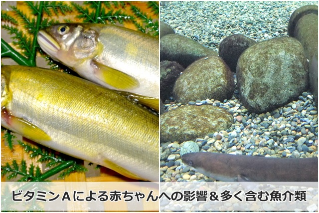 鮎とウナギ