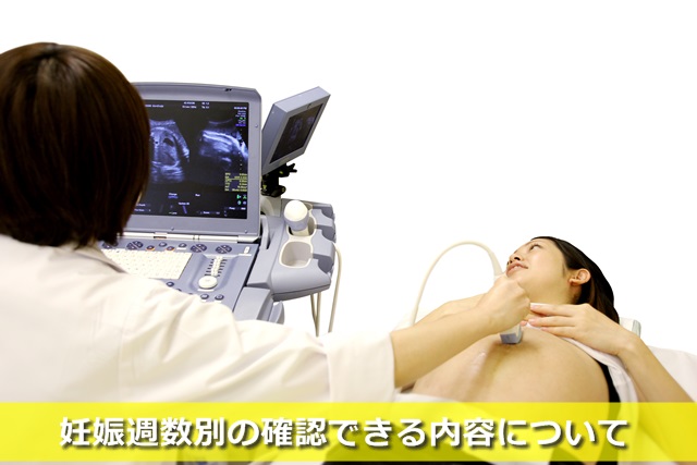 超音波検査