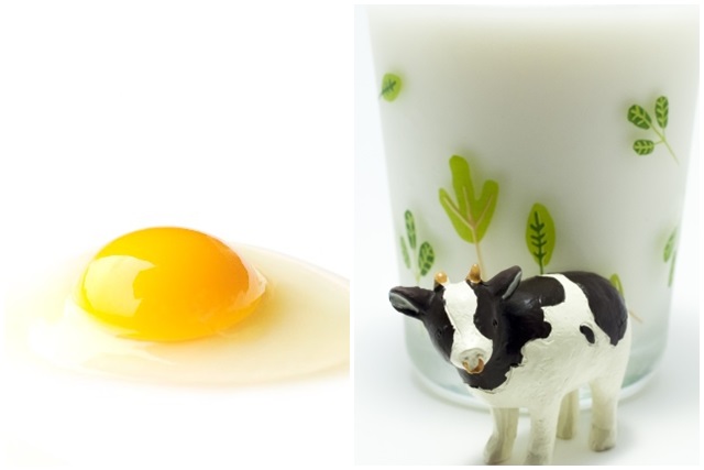 卵と牛乳