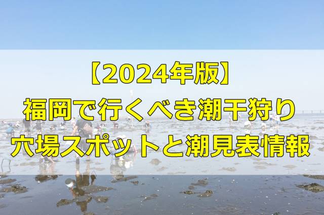 【2024年版】福岡で行くべき潮干狩りの穴場スポットと潮見表情報
