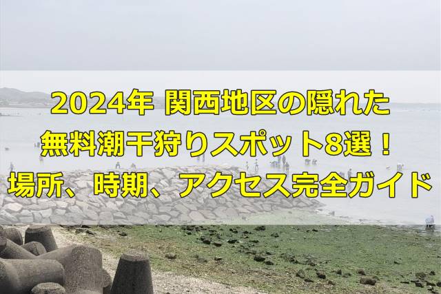 2024年 関西地区の隠れた無料潮干狩りスポット8選！